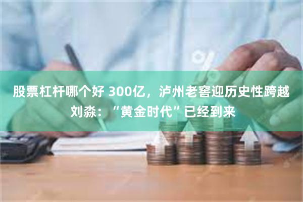 股票杠杆哪个好 300亿，泸州老窖迎历史性跨越 刘淼：“黄金时代”已经到来