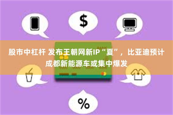 股市中杠杆 发布王朝网新IP“夏”，比亚迪预计成都新能源车或集中爆发