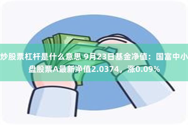 炒股票杠杆是什么意思 9月23日基金净值：国富中小盘股票A最新净值2.0374，涨0.09%