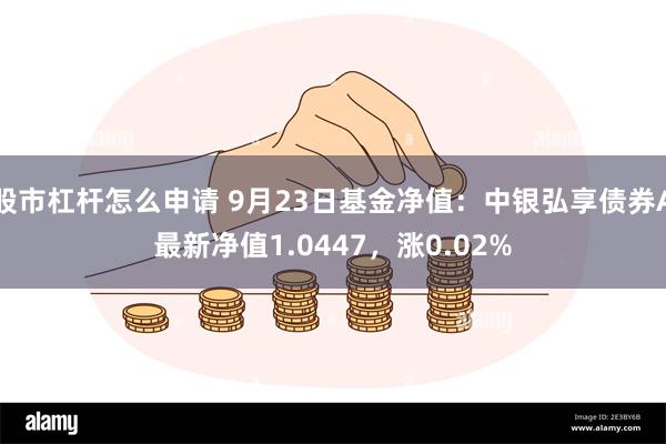 股市杠杆怎么申请 9月23日基金净值：中银弘享债券A最新净值1.0447，涨0.02%