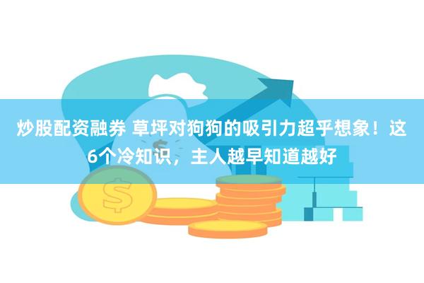 炒股配资融券 草坪对狗狗的吸引力超乎想象！这6个冷知识，主人越早知道越好