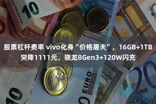 股票杠杆费率 vivo化身“价格屠夫”，16GB+1TB突降1111元，骁龙8Gen3+120W闪充