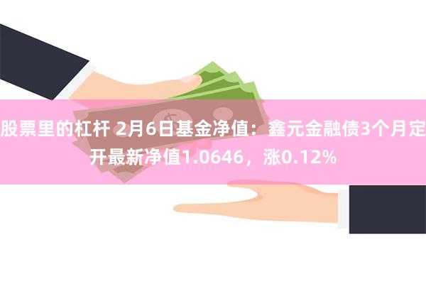 股票里的杠杆 2月6日基金净值：鑫元金融债3个月定开最新净值1.0646，涨0.12%