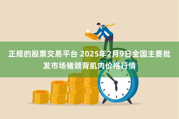 正规的股票交易平台 2025年2月9日全国主要批发市场猪颈背肌肉价格行情