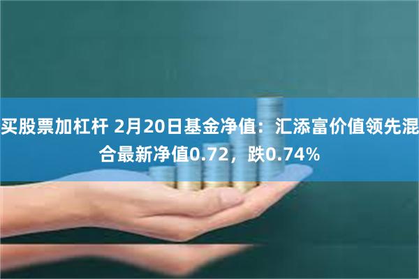 买股票加杠杆 2月20日基金净值：汇添富价值领先混合最新净值0.72，跌0.74%