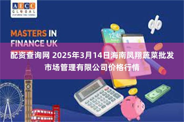 配资查询网 2025年3月14日海南凤翔蔬菜批发市场管理有限公司价格行情