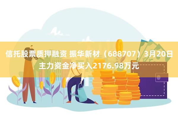 信托股票质押融资 振华新材（688707）3月20日主力资金净买入2176.98万元