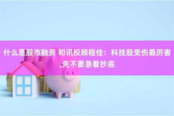 什么是股市融资 和讯投顾程佳：科技股受伤最厉害,先不要急着抄底