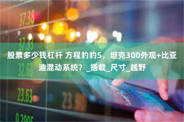 股票多少钱杠杆 方程豹豹5，坦克300外观+比亚迪混动系统？_搭载_尺寸_越野