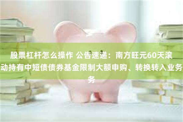 股票杠杆怎么操作 公告速递：南方旺元60天滚动持有中短债债券基金限制大额申购、转换转入业务